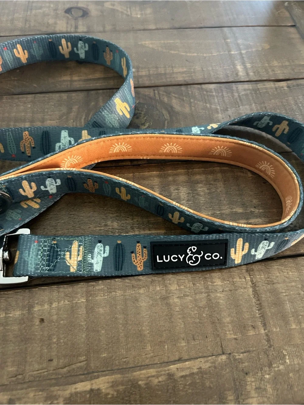 Lucy & Co. lucy co